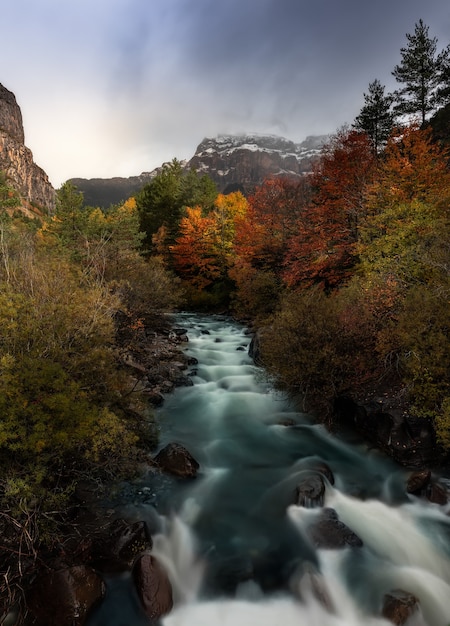 Vertikale aufnahme der schönen herbstfarben der bäume entlang eines flusses