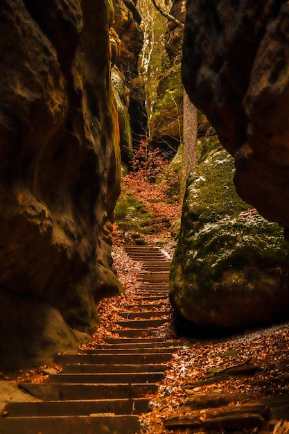 Kostenloses Foto vertikale aufnahme der treppe zwischen riesigen felsen im wald im nationalpark sächsische schweiz