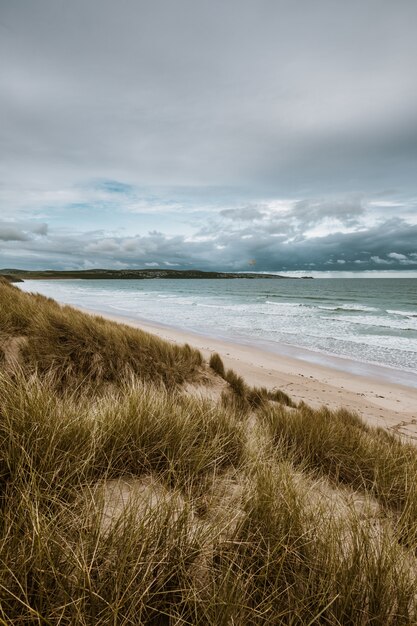 Vertikale Aufnahme des grasbedeckten Strandes durch den ruhigen Ozean, der in Cornwall, England gefangen genommen wird