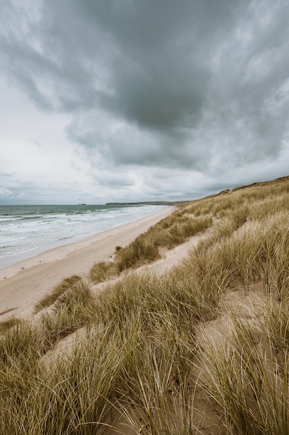 Vertikale Aufnahme des grasbedeckten Strandes durch den ruhigen Ozean, der in Cornwall, England gefangen genommen wird