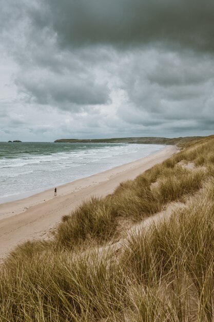 Vertikale Aufnahme des grasbedeckten Strandes durch den ruhigen Ozean, der in Cornwall, England gefangen genommen wird