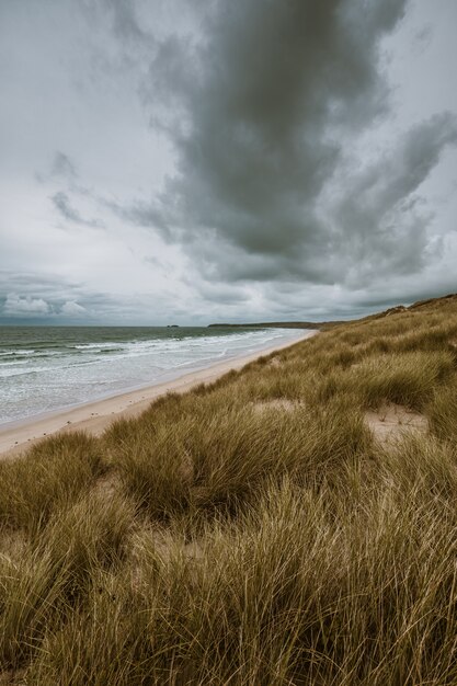 Vertikale Aufnahme des grasbedeckten Strandes durch den ruhigen Ozean, der in Cornwall, England gefangen genommen wird