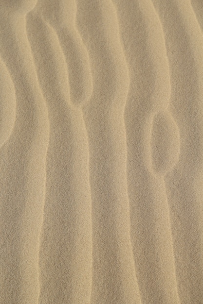 Vertikale Aufnahme des mit Sand bedeckten Bodens unter dem Sonnenlicht