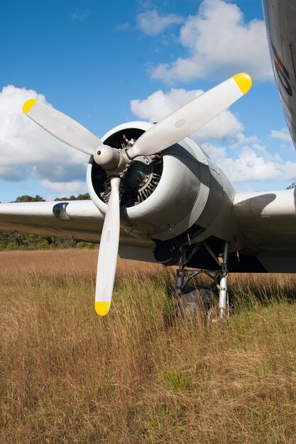 Vertikale Aufnahme des Propellers eines Flugzeugs landete auf dem trockenen Gras