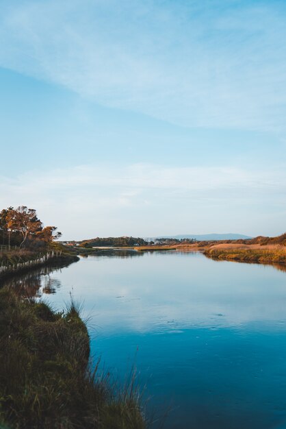 Vertikale Aufnahme des Sees im Feld, der den blauen Himmel reflektiert