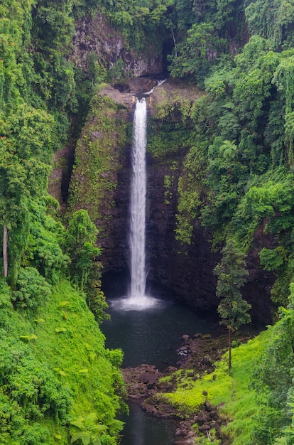 Vertikale Aufnahme des Sopo'aga-Wasserfalls, umgeben von Grün in der Upolu-Insel, Samoa
