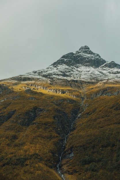 Vertikale Aufnahme des Waldes in den Bergen mit einem schneebedeckten Gipfel