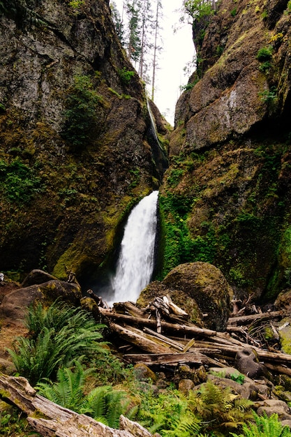 Vertikale Aufnahme des Wasserfalls Wahclella Falls in den USA