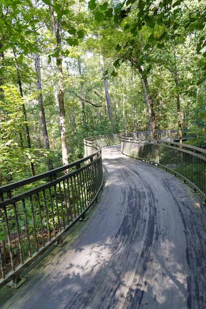 Vertikale Aufnahme einer Brücke in Garvan Woodland Gardens in Arkansas, USA
