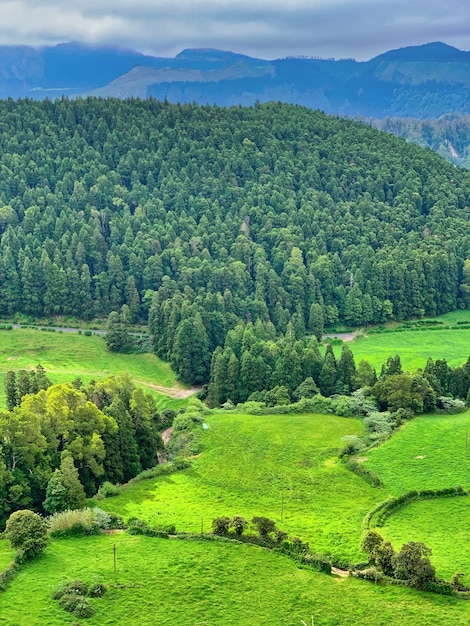 Vertikale Aufnahme einer faszinierenden Landschaft mit bewaldeten Bergen