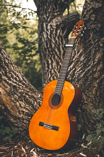 Kostenloses Foto vertikale aufnahme einer gitarre, die sich auf den stamm eines baumes mitten in einem wald stützt