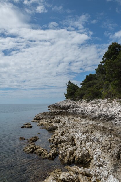 Vertikale Aufnahme einer Küstenklippe unter blauem Himmel mit Wolken