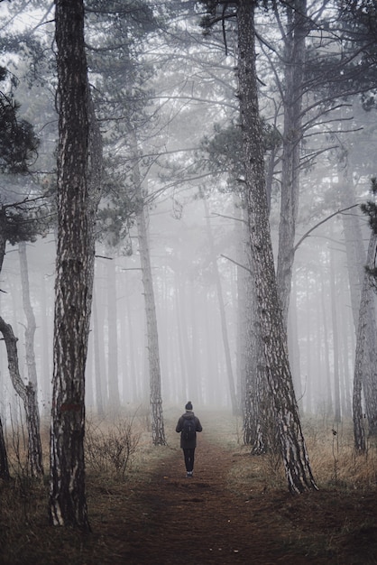 Vertikale Aufnahme einer Person, die an einem nebligen Morgen in einem Wald spazieren geht
