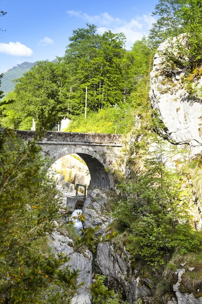 Vertikale Aufnahme einer Steinbrücke über den Fluss, umgeben von Bäumen in Ain, Frankreich