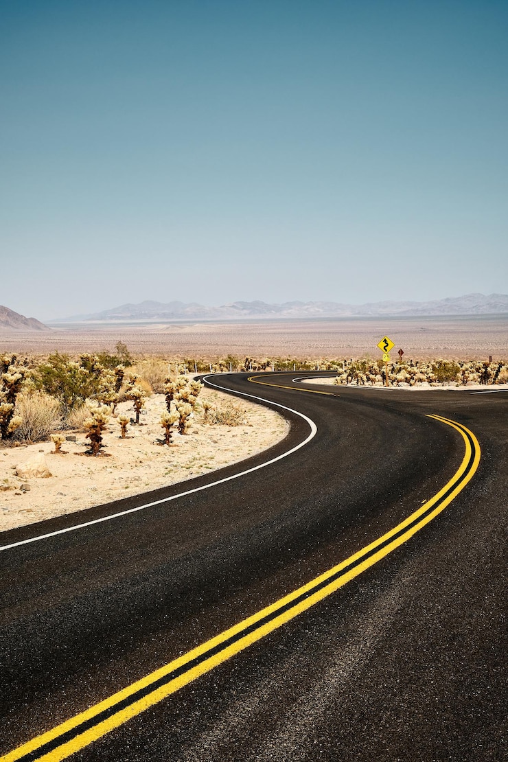 Kostenlose Foto vertikale aufnahme einer straße im joshua tree national park, kalifornien, usa