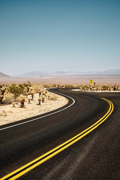 Vertikale Aufnahme einer Straße im Joshua Tree National Park, Kalifornien, USA