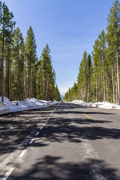 Vertikale Aufnahme einer Straße in einem Wald im Winter im Yellowstone-Nationalpark, USA