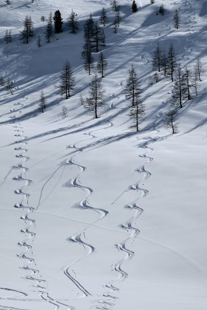 Vertikale Aufnahme eines bewaldeten Berges, der mit Schnee in Col de la Lombarde bedeckt wird