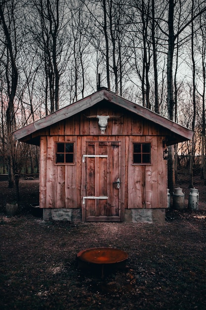 Kostenloses Foto vertikale aufnahme eines büffelschädels am eingang einer holzscheune mit den bäumen im hintergrund