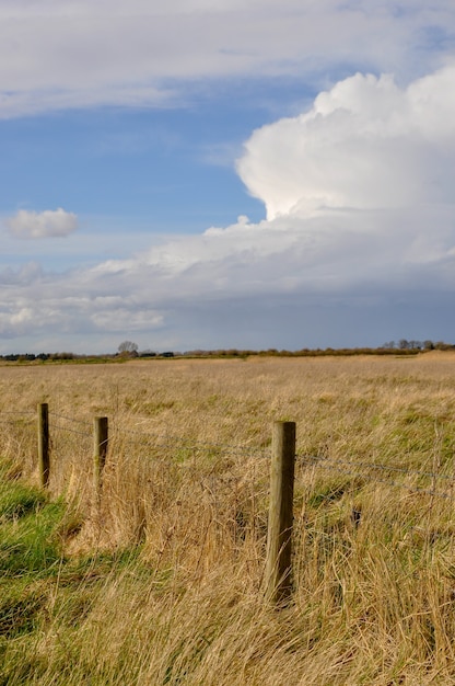 Vertikale Aufnahme eines Feldes mit einem Holzzaun in einem Naturschutzgebiet in Lincolnshire, UK