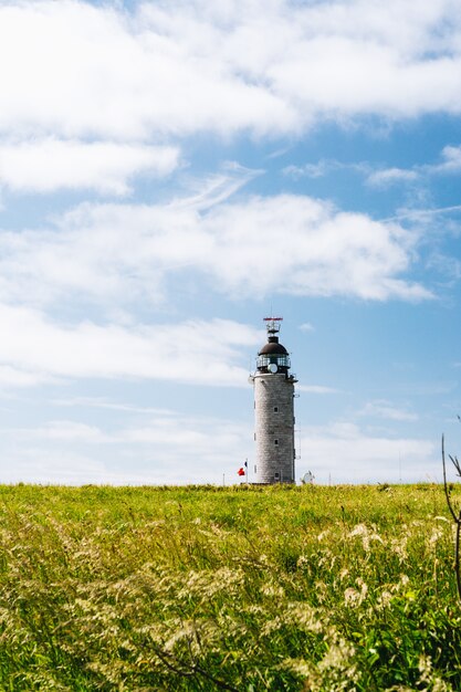 Vertikale Aufnahme eines Grasfeldes mit einem Leuchtturm in der Ferne unter einem bewölkten Himmel in Frankreich