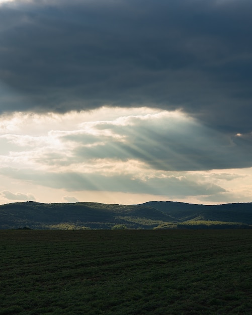 Vertikale Aufnahme eines grünen Feldes in der Landschaft unter dem bewölkten Sonnenuntergangshimmel