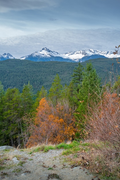Vertikale Aufnahme eines herbstlichen Waldes, umgeben von einer bergigen Landschaft in Kanada