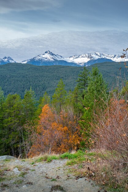 Vertikale Aufnahme eines herbstlichen Waldes, umgeben von einer bergigen Landschaft in Kanada
