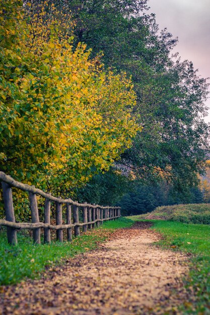 Vertikale Aufnahme eines Holzzauns und eines Weges in einem Herbstpark