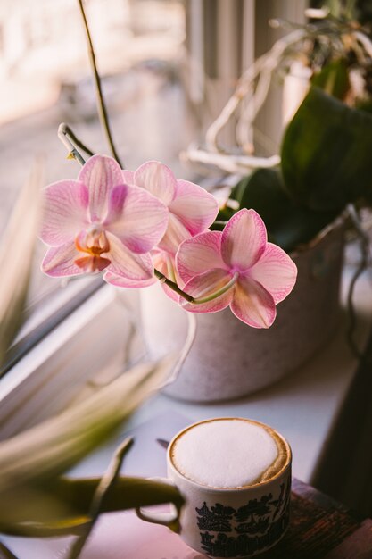 Vertikale Aufnahme eines Kaffees neben der Blume auf der Fensterbank