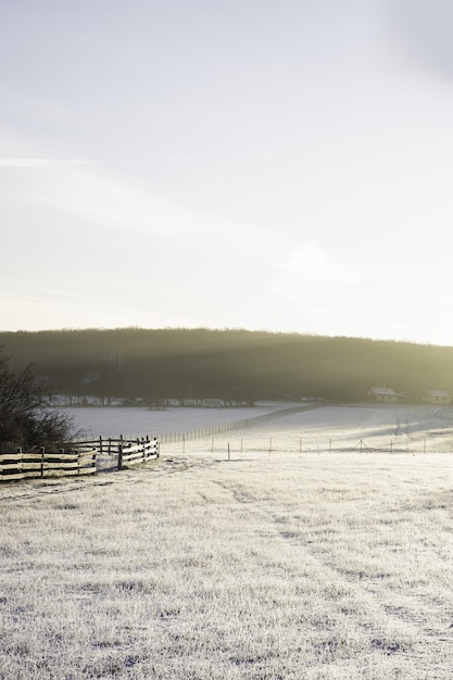 Vertikale Aufnahme eines mit Schnee und Sonnenlicht bedeckten Tals im Winter