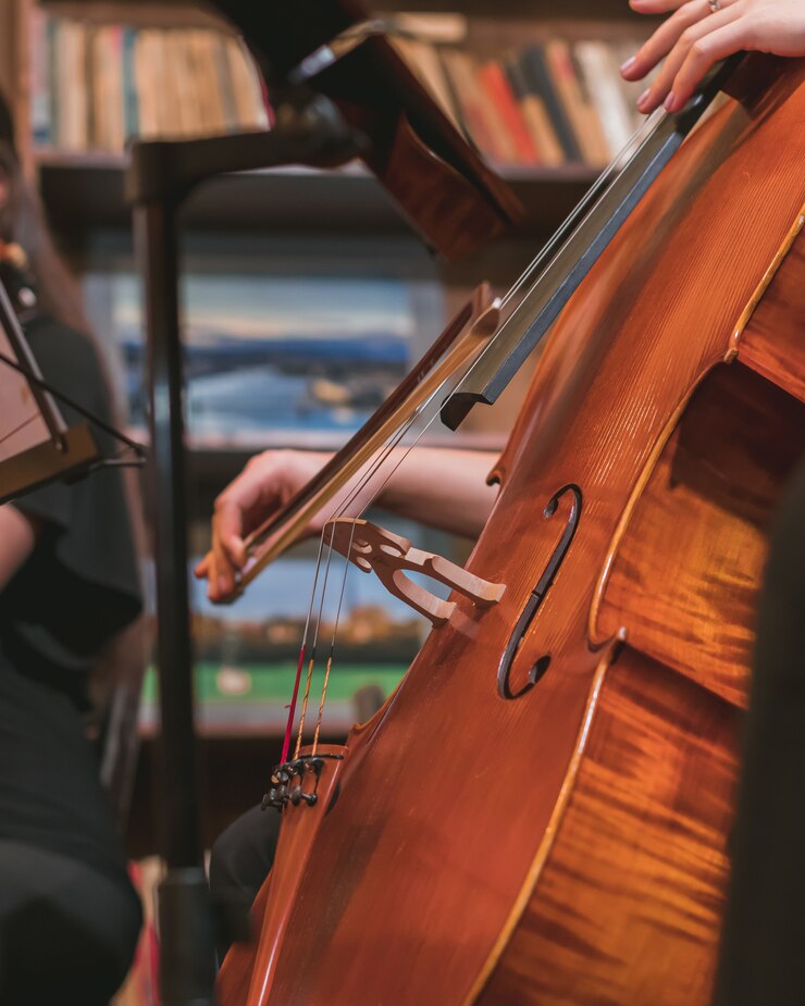 Kostenlose Foto vertikale aufnahme eines musikers, der die geige in einem orchester spielt