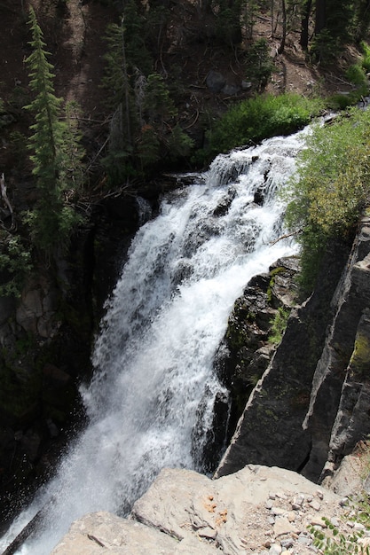Vertikale Aufnahme eines niedrigen Wasserfalls mit weißem Schaum im Wald mit Klippen und Grün