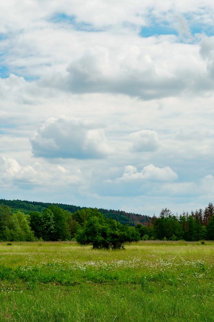 Vertikale Aufnahme eines schönen grünen Tals unter dem bewölkten Himmel