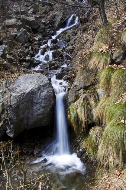 Vertikale Aufnahme eines schönen Wasserfalls im Wald