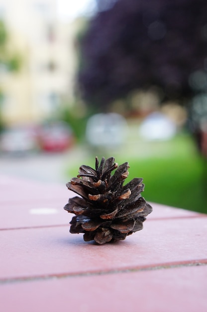 Vertikale Aufnahme eines Tannenzapfens auf einem Holztisch