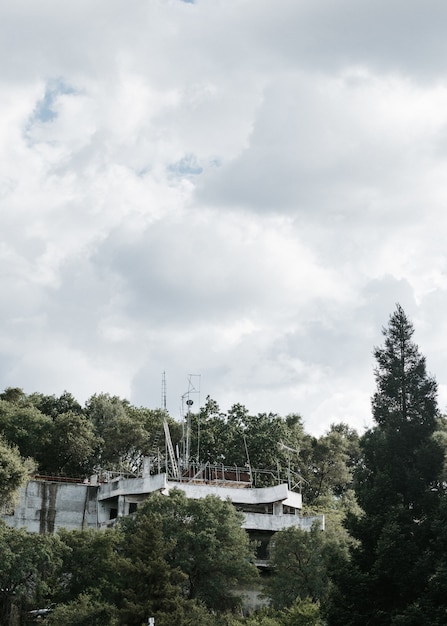 Vertikale aufnahme eines verlassenen gebäudes in der mitte eines waldes unter dem bewölkten himmel