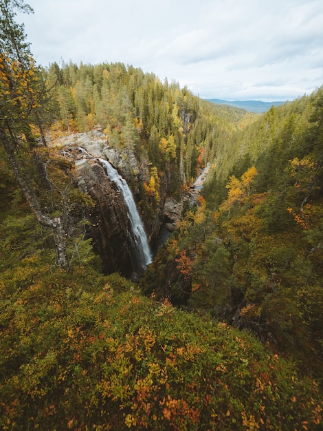 Vertikale Aufnahme eines Wasserfalls, umgeben von vielen Bäumen mit Herbstfarben in Norwegen