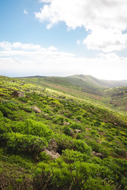 Vertikale Aufnahme eines wunderschönen hügeligen Geländes mit grüner Vegetation