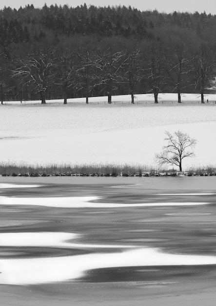 Kostenloses Foto vertikale aufnahme von bäumen, berg, fluss vom winter betroffen