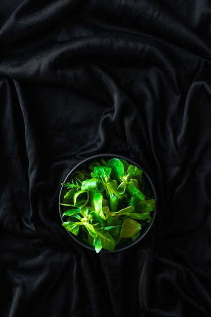 Vertikale Aufnahme von Canonigos und Rucula aus grünen Blättern, um Salate zuzubereiten