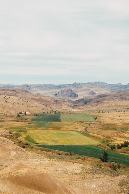 Vertikale Aufnahme von Feldern sichtbar von einem Hügel