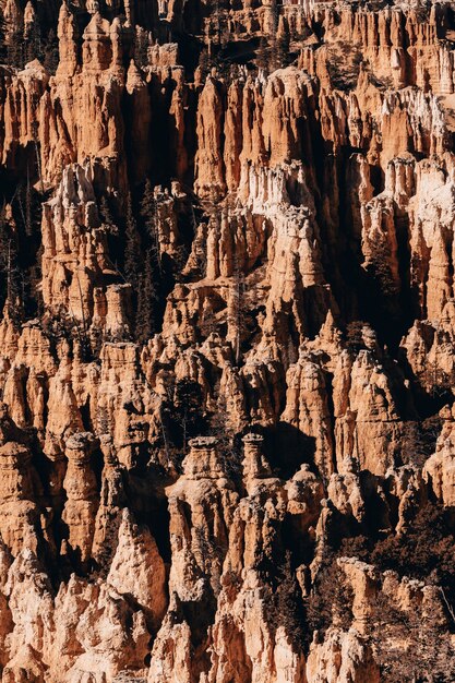 Vertikale Aufnahme von Felsen in einer Schlucht unter dem Sonnenlicht