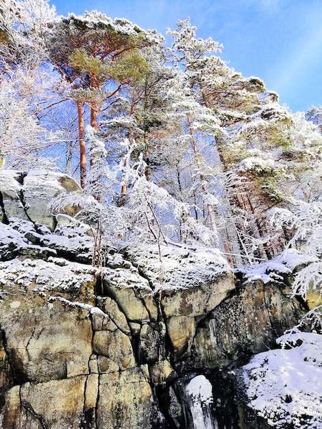 Vertikale Aufnahme von Felsen und Bäumen bedeckt im Schnee unter dem Sonnenlicht und einem blauen Himmel in Norwegen