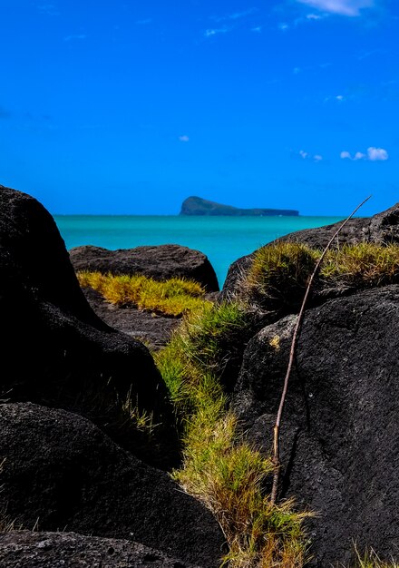 Vertikale Aufnahme von Gras in der Mitte der Felsen nahe dem Wasser mit Berg und blauem Himmel