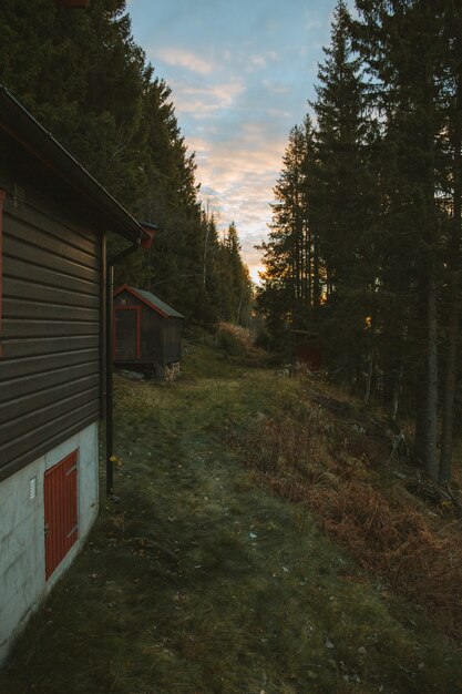 Vertikale Aufnahme von Holzhäusern auf einem Hügel, umgeben von Bäumen, die in Norwegen gefangen genommen werden