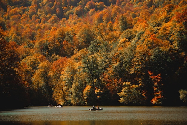 Vertikale Aufnahme von Menschen, die in einem grünen See voll segeln, umgeben von einem bunten Herbstwald