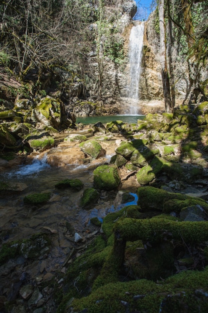 Vertikale Aufnahme von Steinen bedeckt mit Moos in einem See unter dem Wasserfall Butori in Istrien, Kroatien