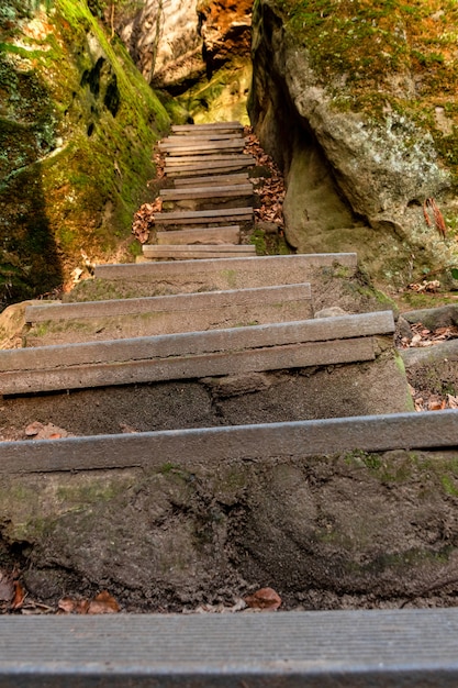 Vertikale Aufnahme von Treppen im Wald, umgeben von Moos auf den Felsen