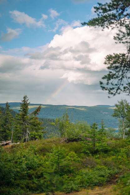 Vertikale Aufnahme von Wald, Hügeln und einem Regenbogen an einem bewölkten Tag